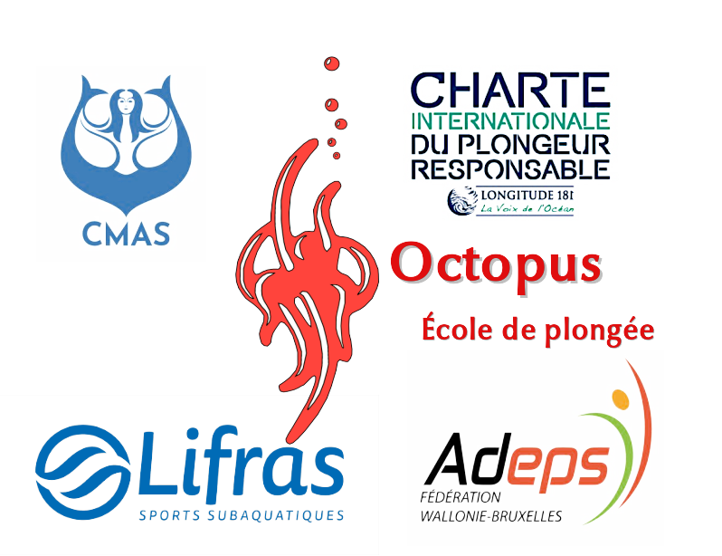 octo-ref
